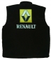 Preview: Renault Vest